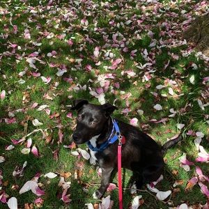 Meet your Posher, Ziola